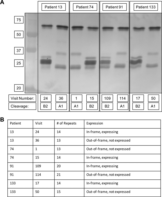 FIG 6