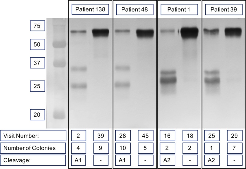 FIG 2