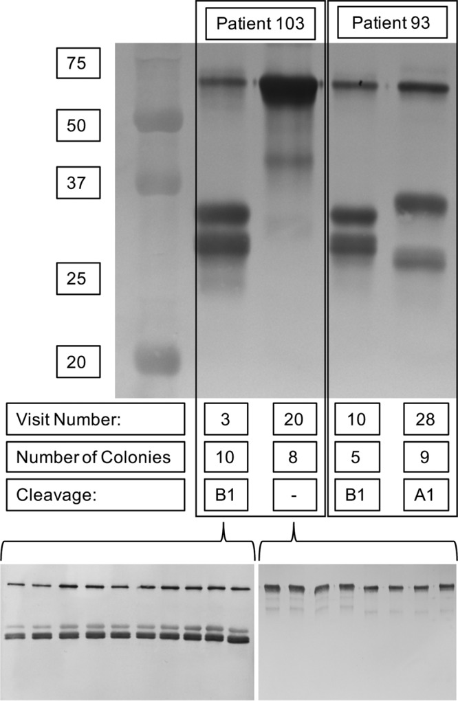 FIG 4