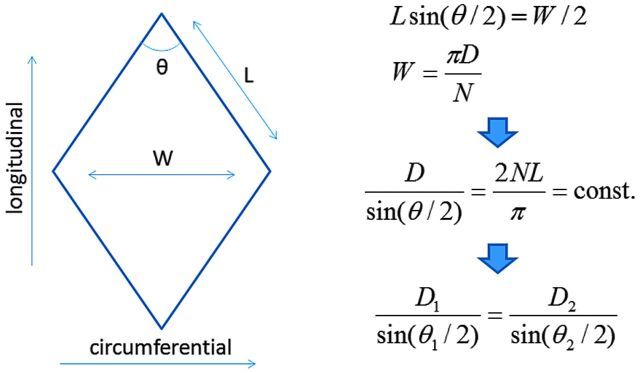 Fig 1.