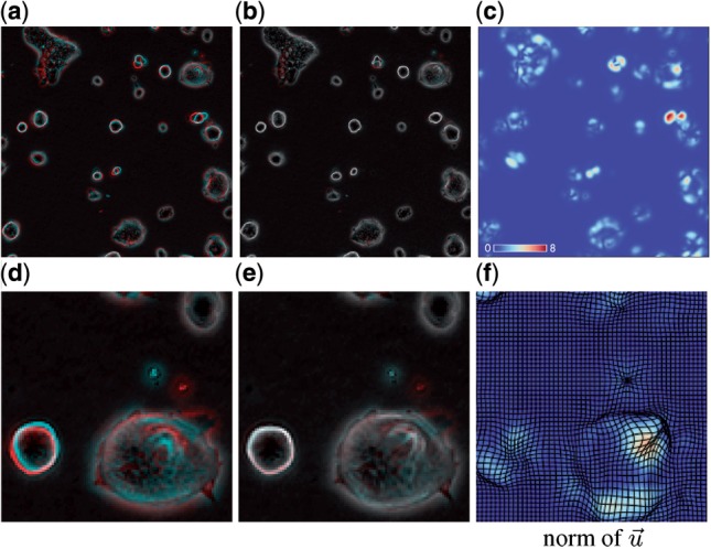 Fig. 2.