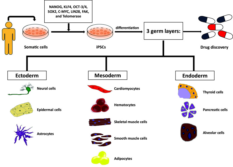 Fig. 1