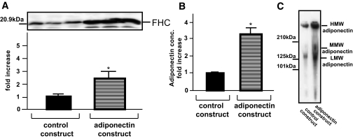 FIG. 8.