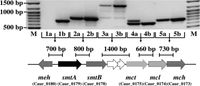 Fig. 3.