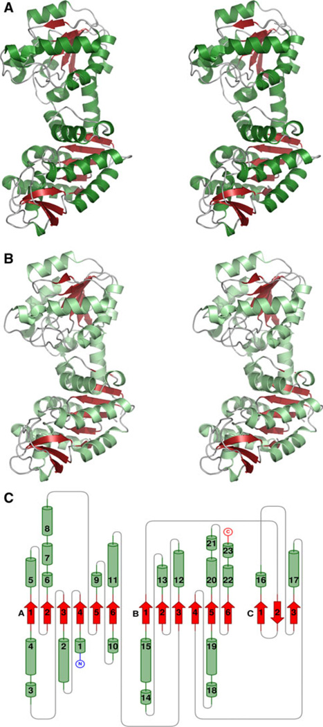 Fig. 1