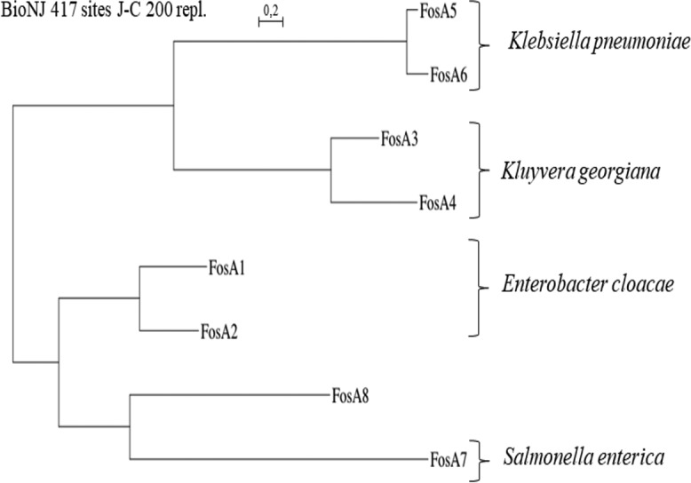 FIG 1