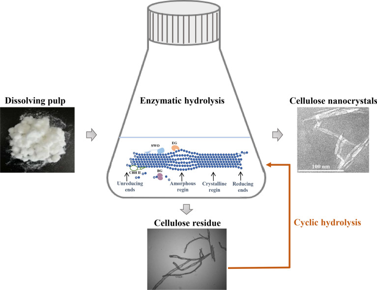 graphic file with name 40643_2023_658_Figa_HTML.jpg