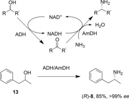 Scheme 7