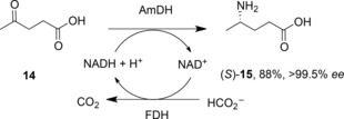 Scheme 8