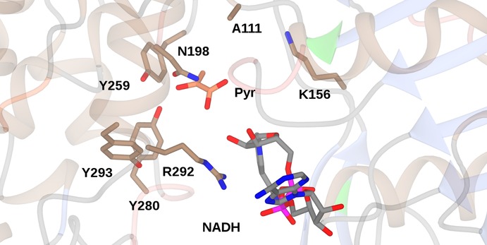 Figure 7