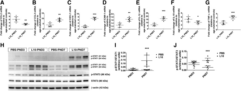 Fig. 9.