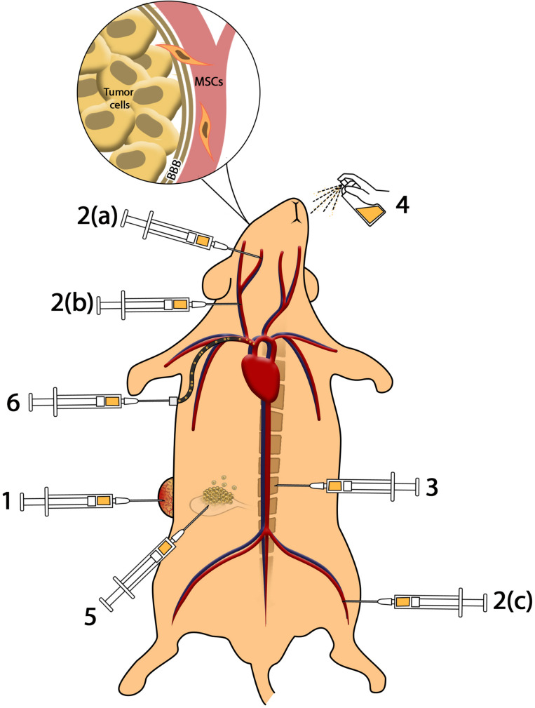 FIGURE 1