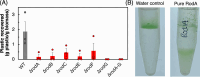 Figure 5: