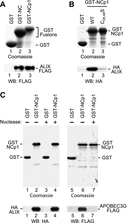 FIG. 4.