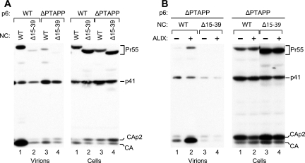 FIG. 8.