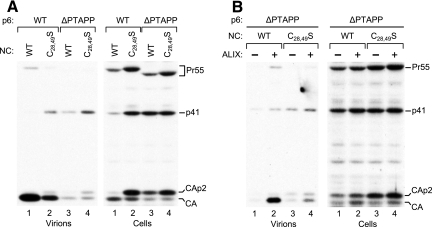 FIG. 7.