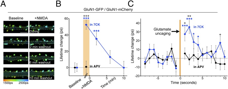 Fig. 5.