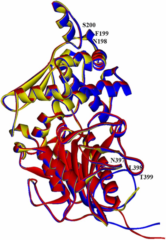 FIG 1