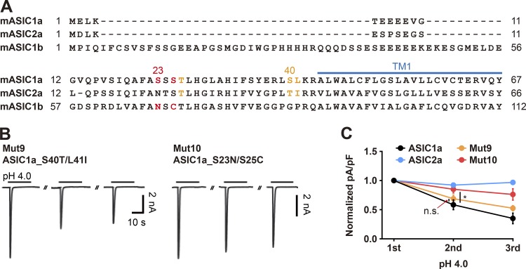 Figure 5.