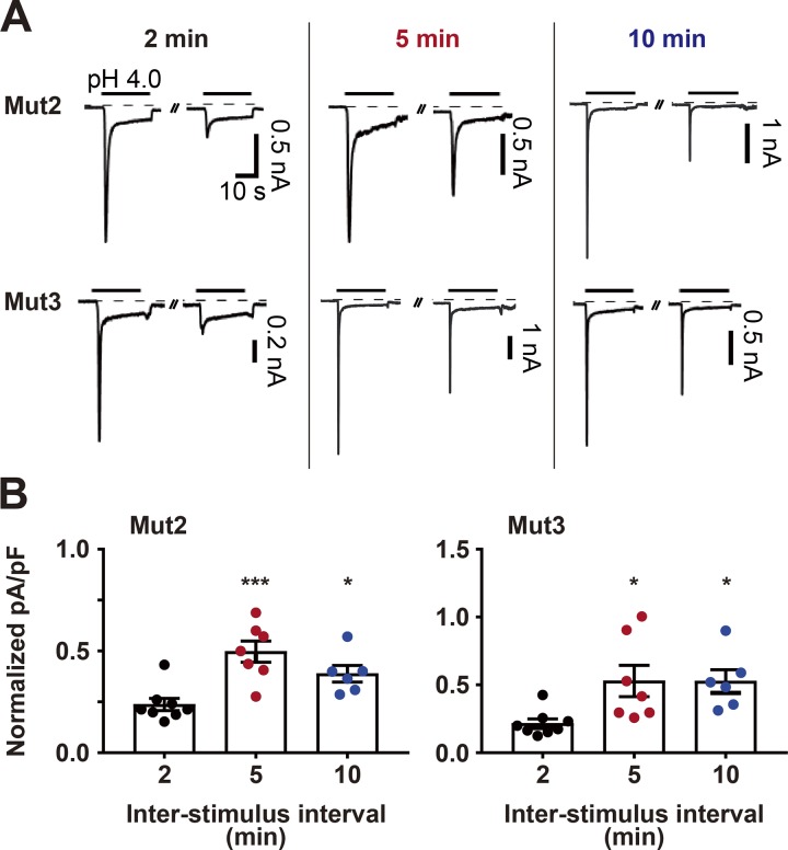 Figure 3.