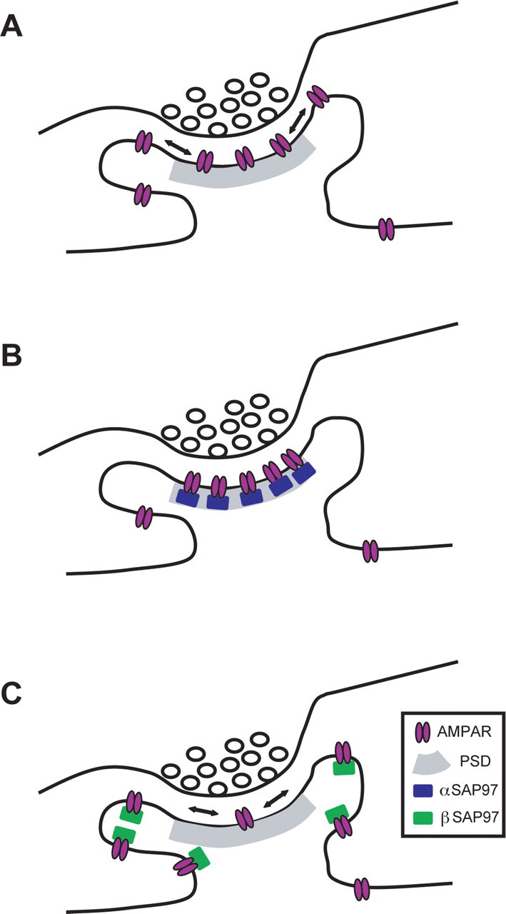 Figure 8.