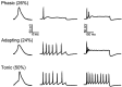 Fig. 10.