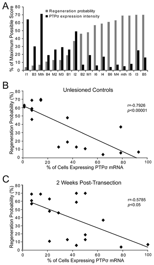 Figure 10.