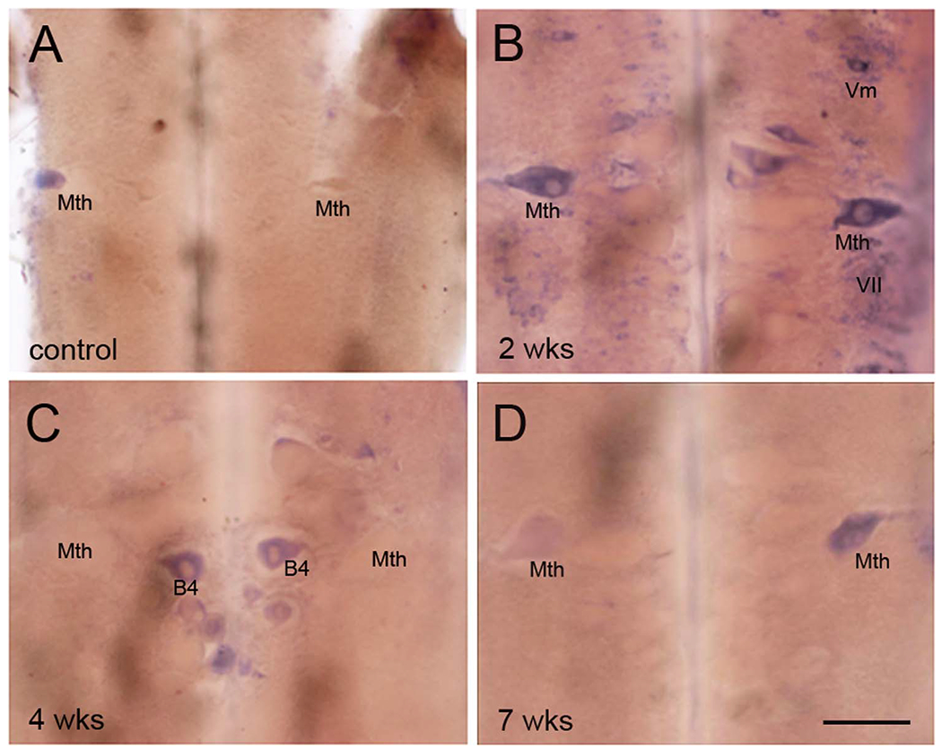 Figure 9.