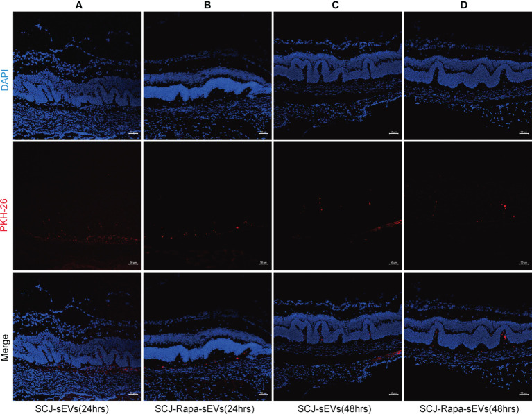 Figure 4