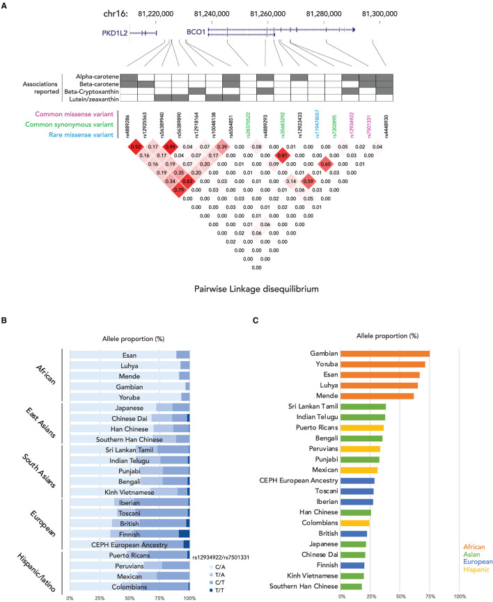 Genetic variations of vitamin a absorption and storage related genes