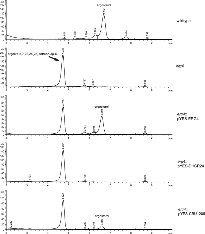 FIG. 5.