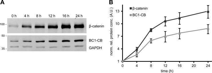 Fig. 11.