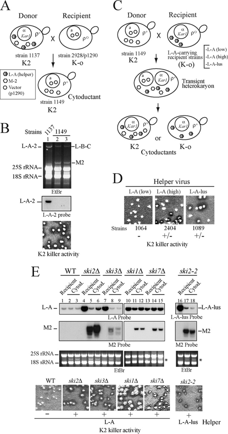 FIG 4