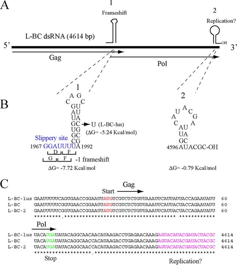 FIG 6