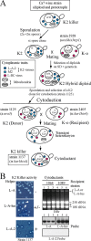 FIG 2