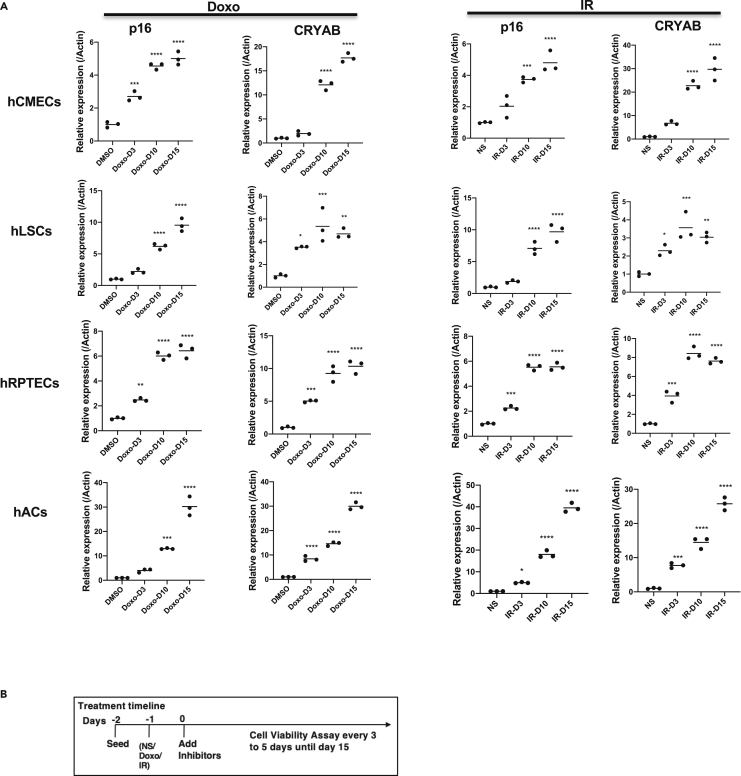 Figure 6