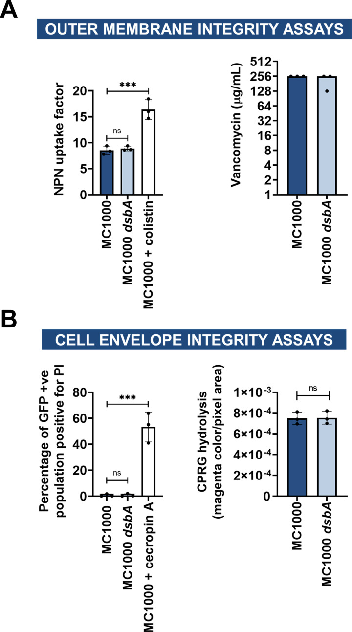 Figure 1—figure supplement 7.