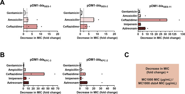 Figure 1—figure supplement 2.