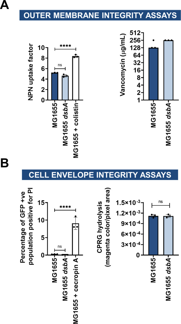 Figure 1—figure supplement 9.