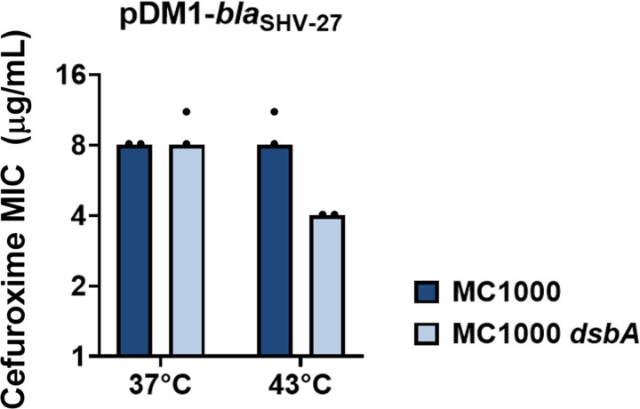 Figure 1—figure supplement 3.