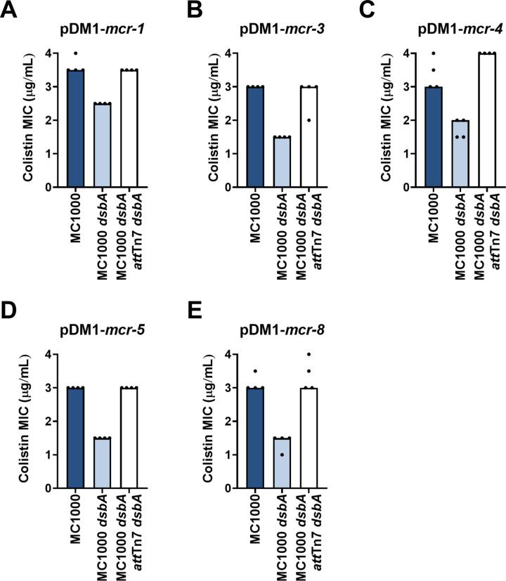 Figure 1—figure supplement 5.