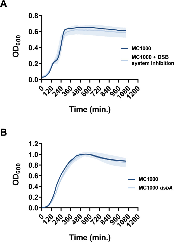 Figure 5—figure supplement 2.