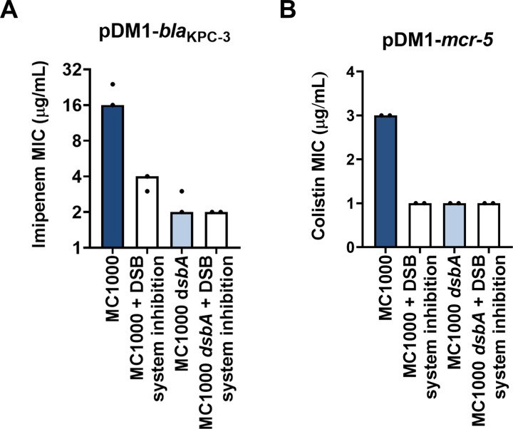 Figure 5—figure supplement 3.