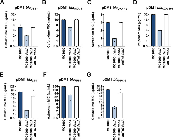 Figure 1—figure supplement 4.