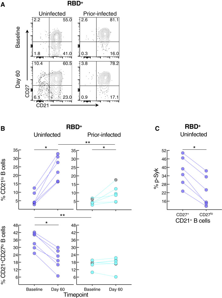 Figure 6