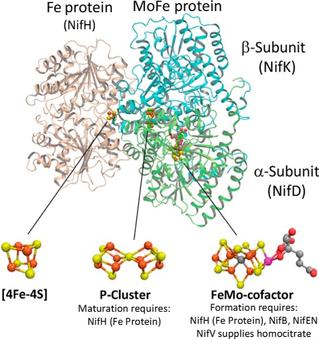 Figure 1.