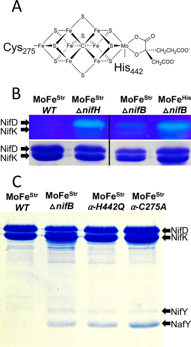 Figure 6.