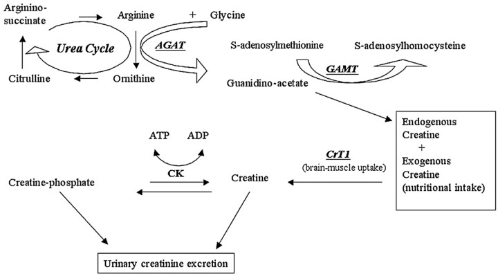 Fig 1.