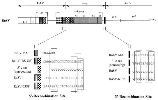 FIG. 4