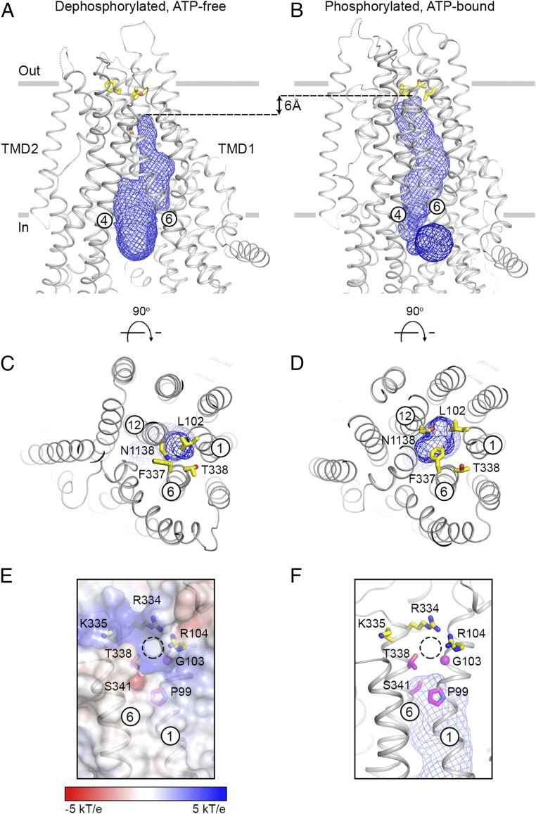 Fig. 3.